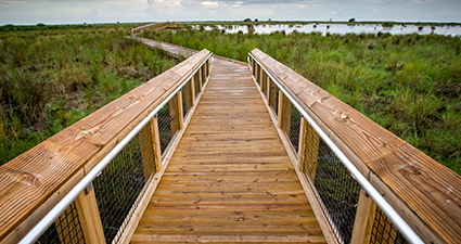 Fountainebleu State Park Boardwalk