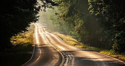 Sunny Road