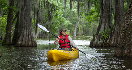 Kayaker